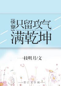 《只留攻气满乾坤》
