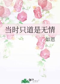 《当时只道是无情》