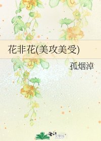 《花非花(美攻美受)》